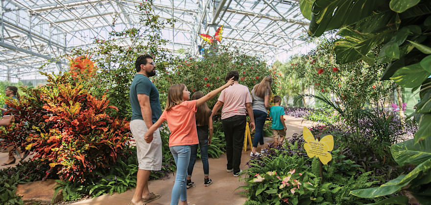 A family wanders through Butterfly Wonderland in Scottsdale, Arizona