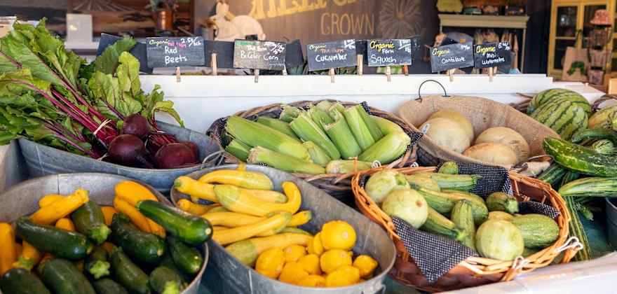 Produce inside baskets at the market stand at The Farm in Salinas, California.