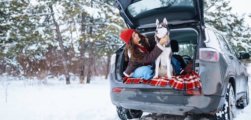 How to Quickly Defrost Your Car Windows