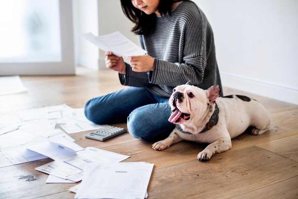 AAA Insurance Quick Pay