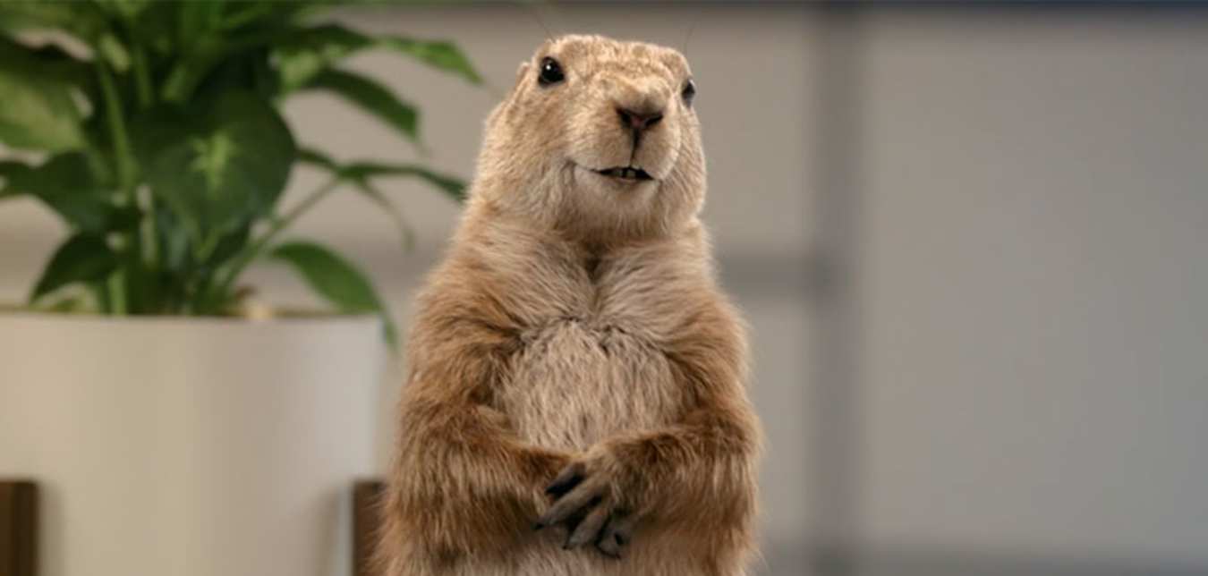 a gopher spokesperson in a tv ad from AAA Insurance