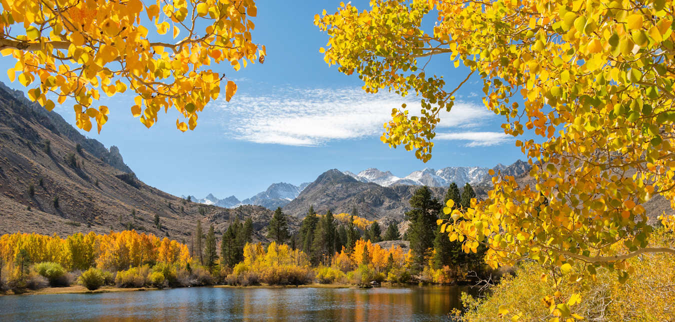 Fall color reflects on water in California's Eastern Sierra.