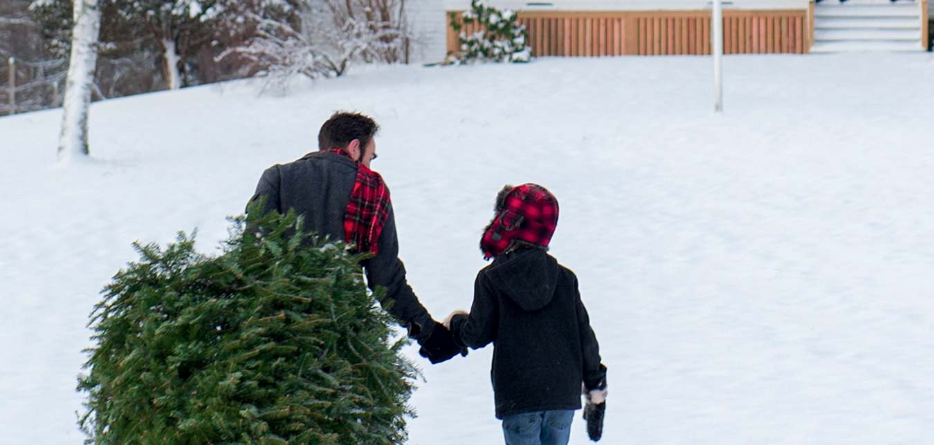 A father and child bring home their Christmas tree through the snow.