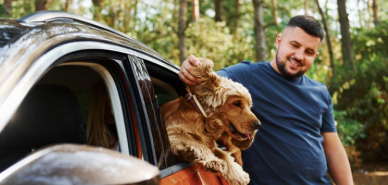 Man standing outside of car petting dog