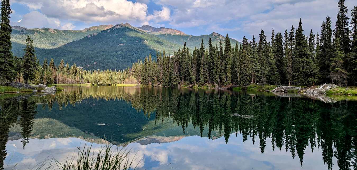 alaska discounts coming soon