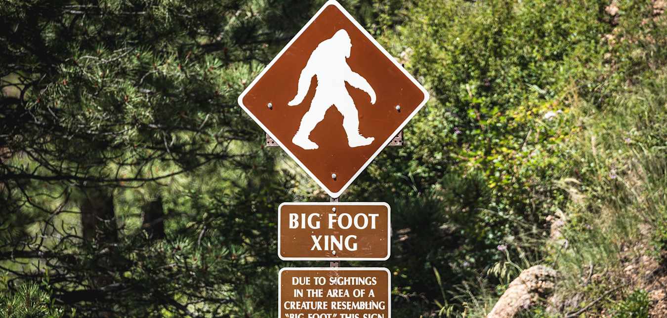 A brown Big Foot Crossing sign on a forested road.