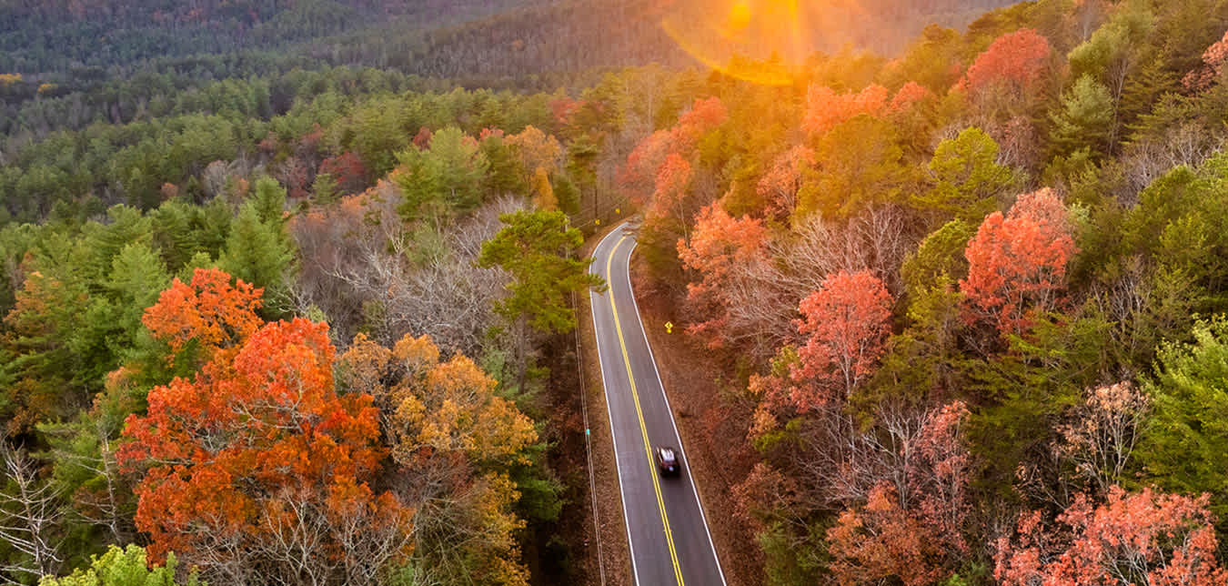 car driving on scenic road lined with autumn trees