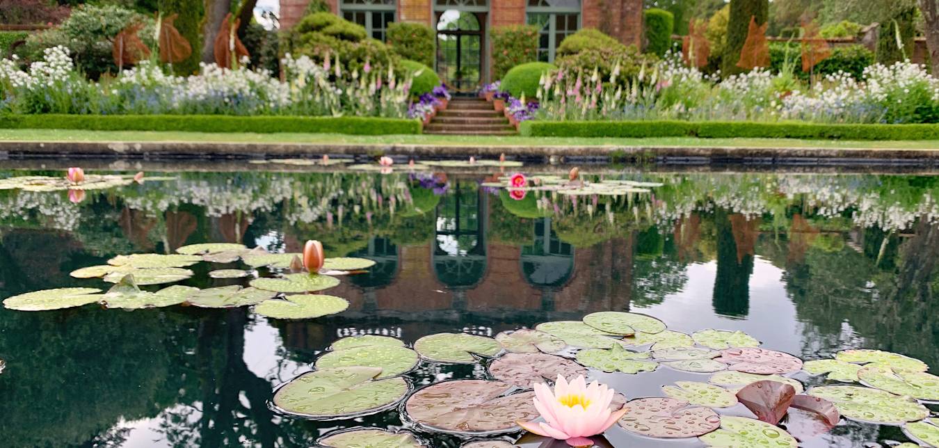Water lilies bloom on a pond in front of the Filoli historic house.