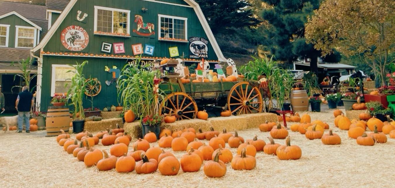 Pumpkins sit outside the green barn at Lemos Farm in Half Moon Bay, California.
