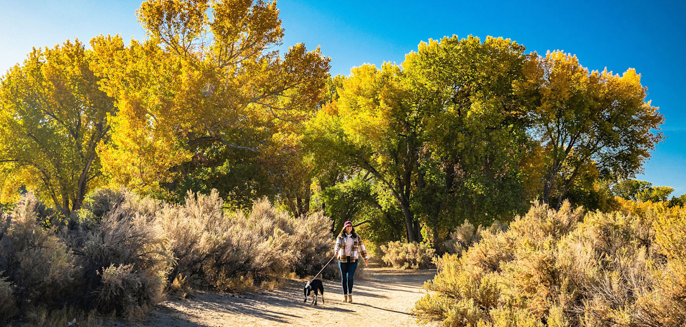 Take a walk in Carson River Park in Carson City, Nevada.
