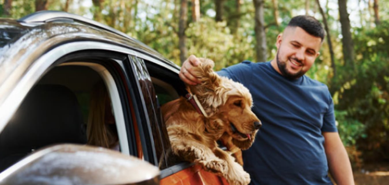 Man standing outside of car petting dog