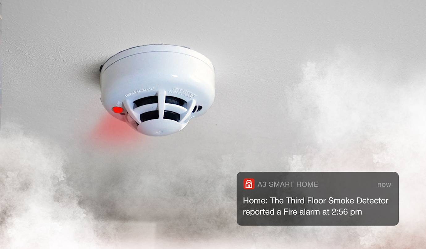Smoke alarm with smoke