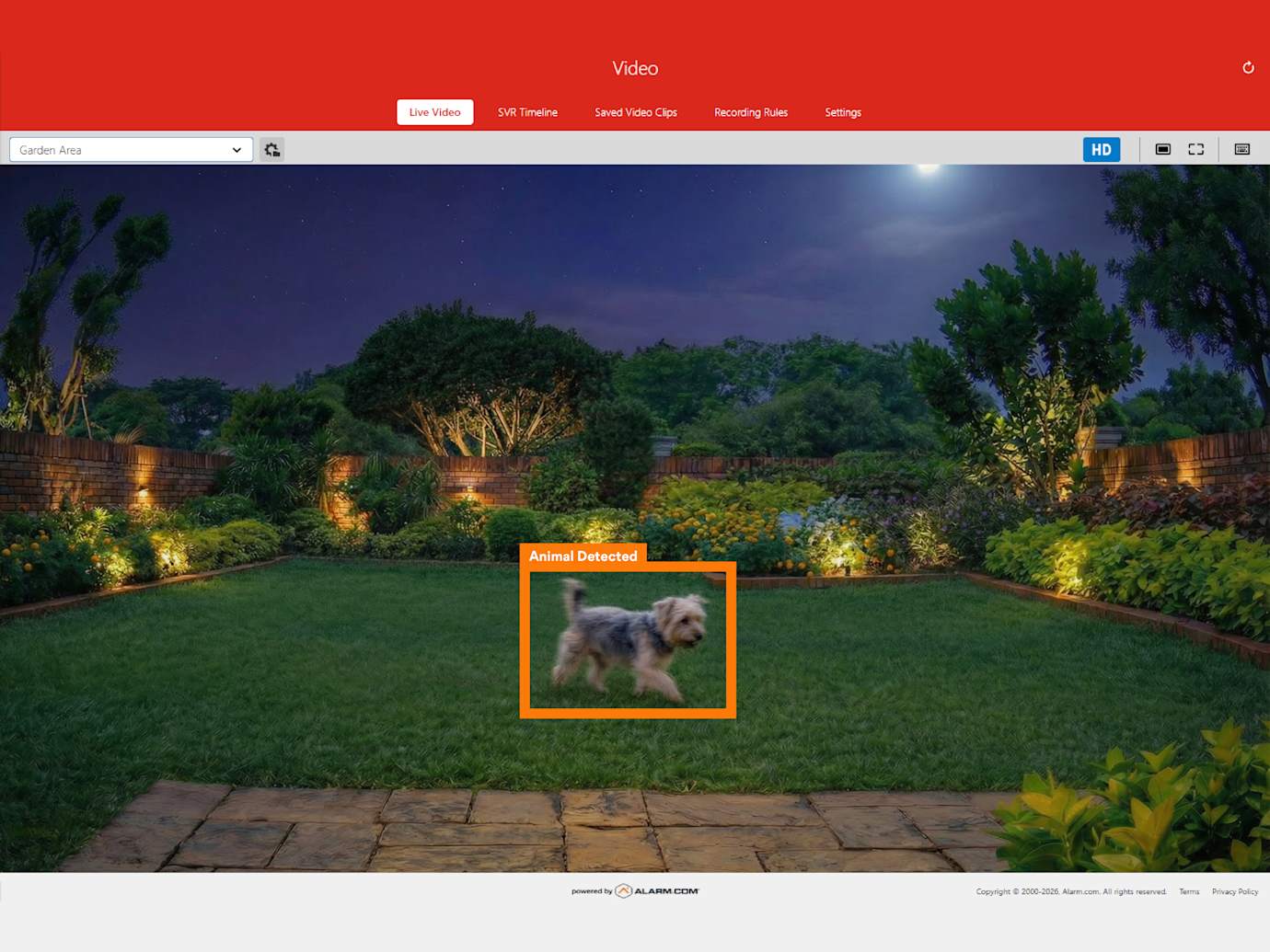 Night view of backyard