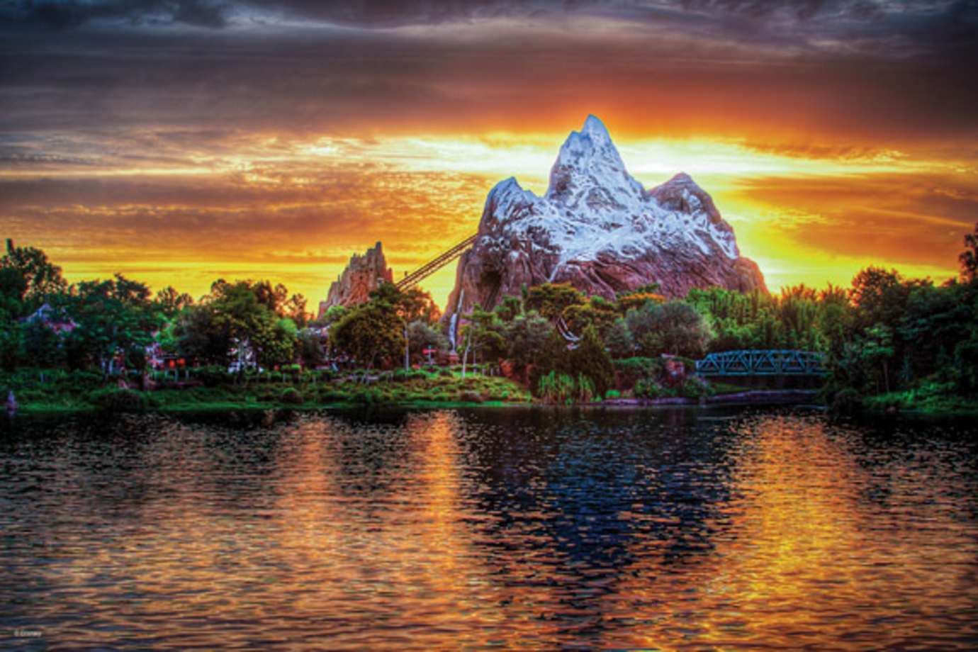 animal kingdom at walt disney world