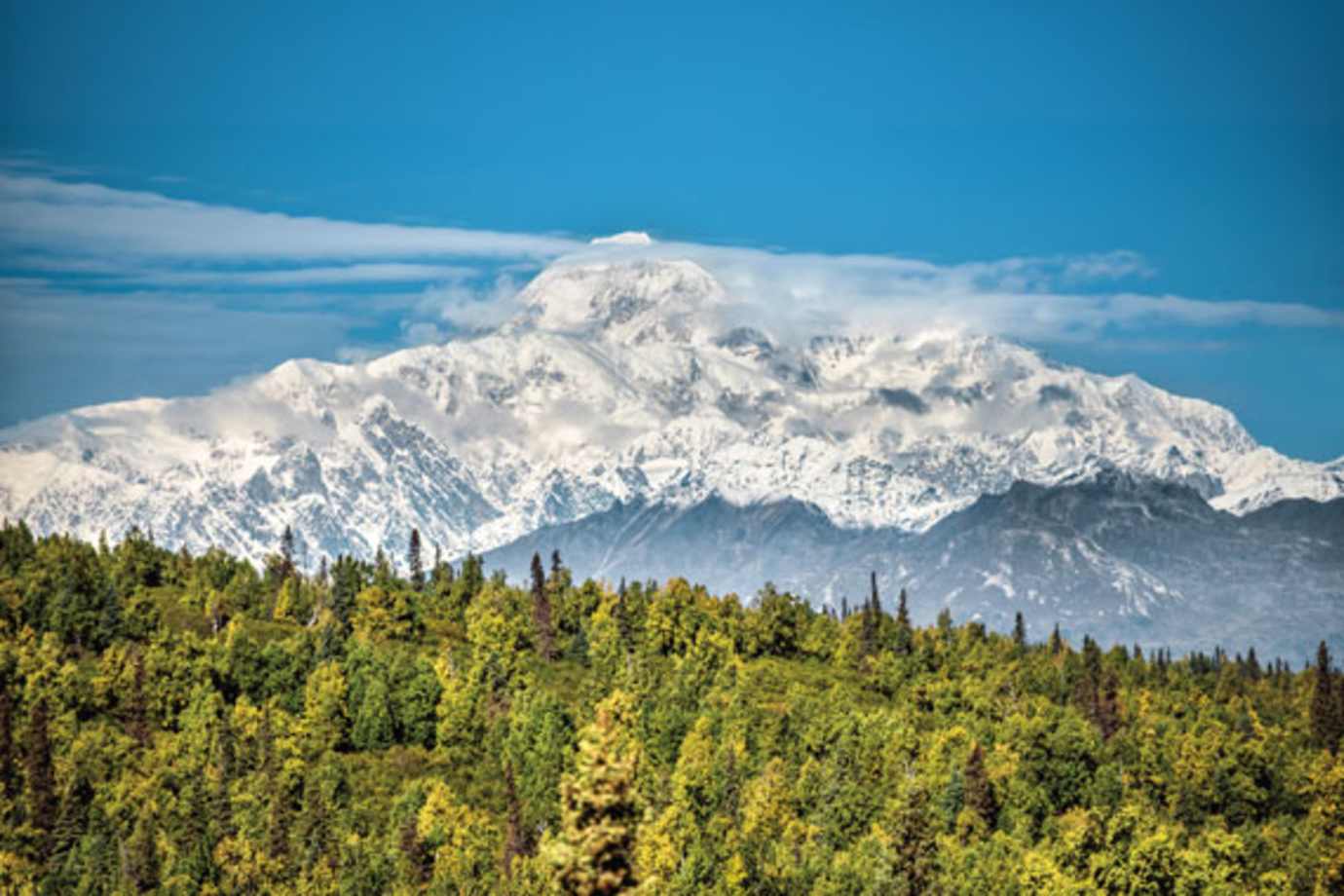 princess alaska cruisetours visit denali national park