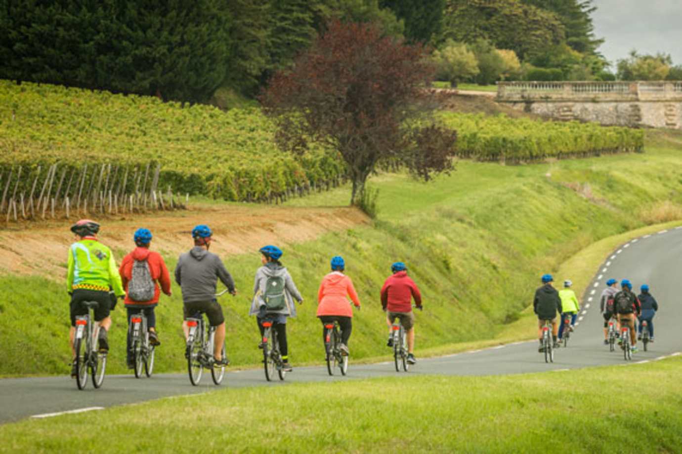 bike tour on a taste of bordeaux river cruise