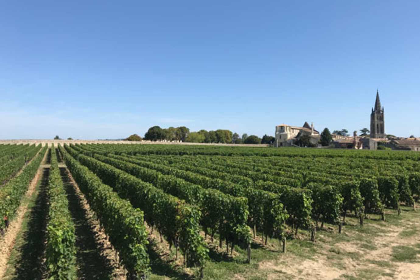 taste of bordeaux river cruise visits saint emillion vineyards