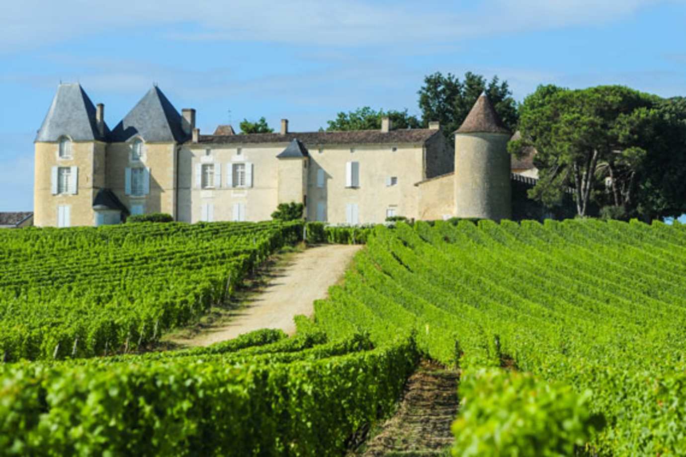 visit the sauternes wine region on a taste of bordeaux river cruise