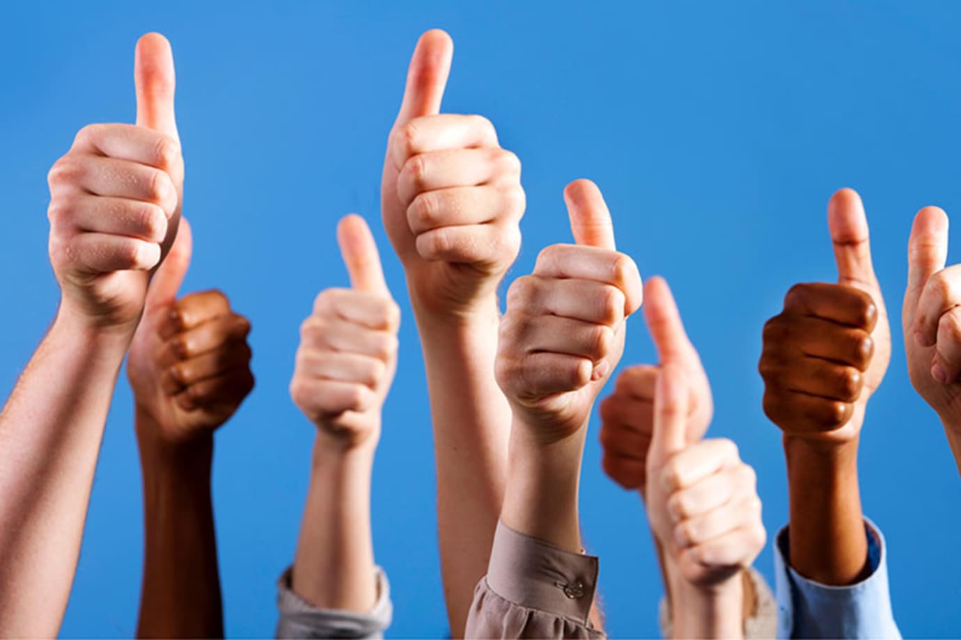 People give AAA insurance a thumbs up