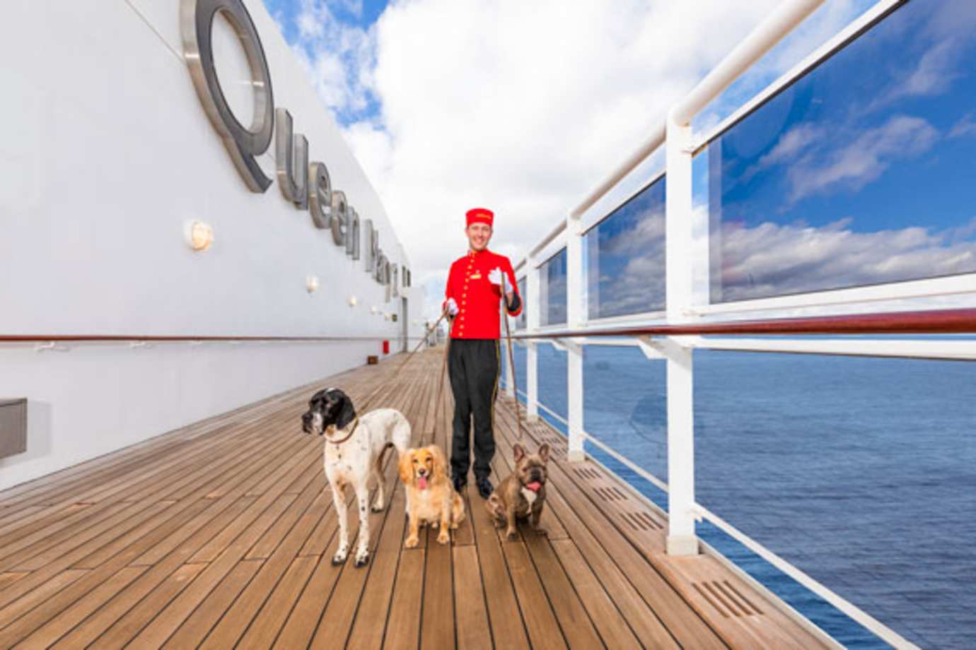cunard line kennels