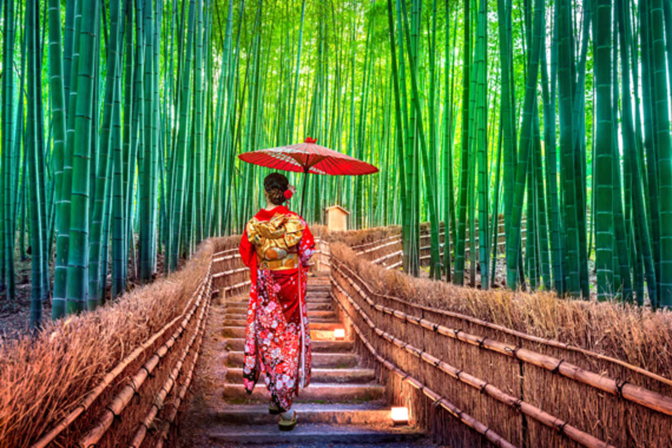 woman in traditional garb walking in bamboo forest in japan