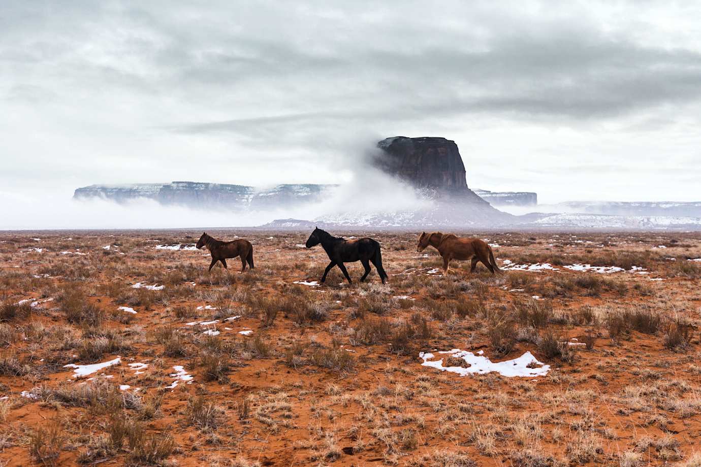 Horses roam through Arizona's Monument Valley on a winter's day.