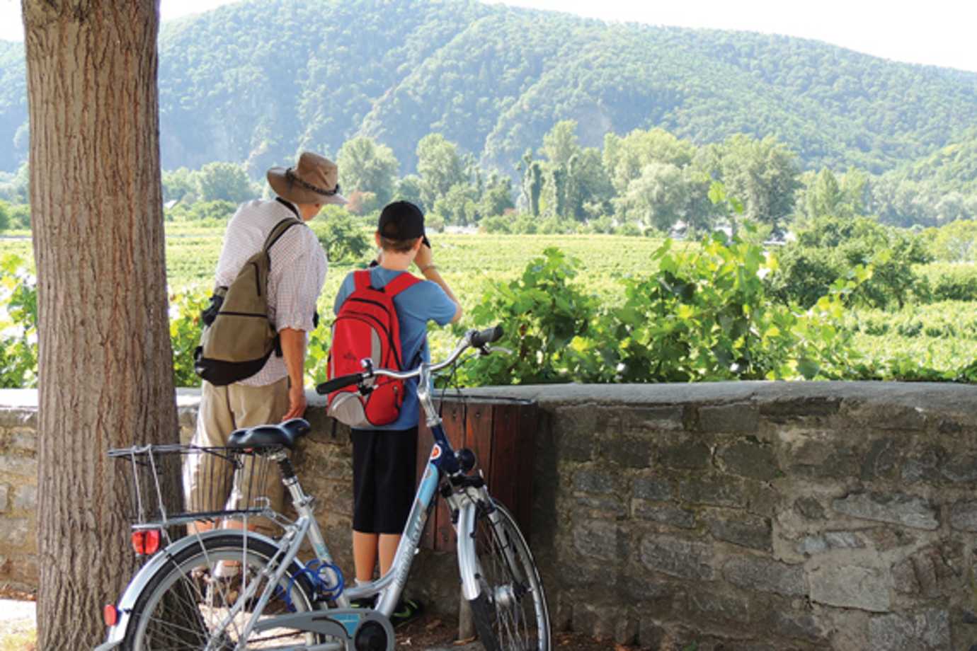 family biking in wachau valley