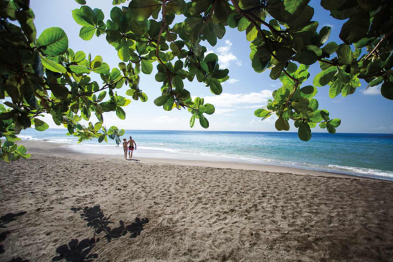 royal caribbean cruises visit the black sand beaches on martinique