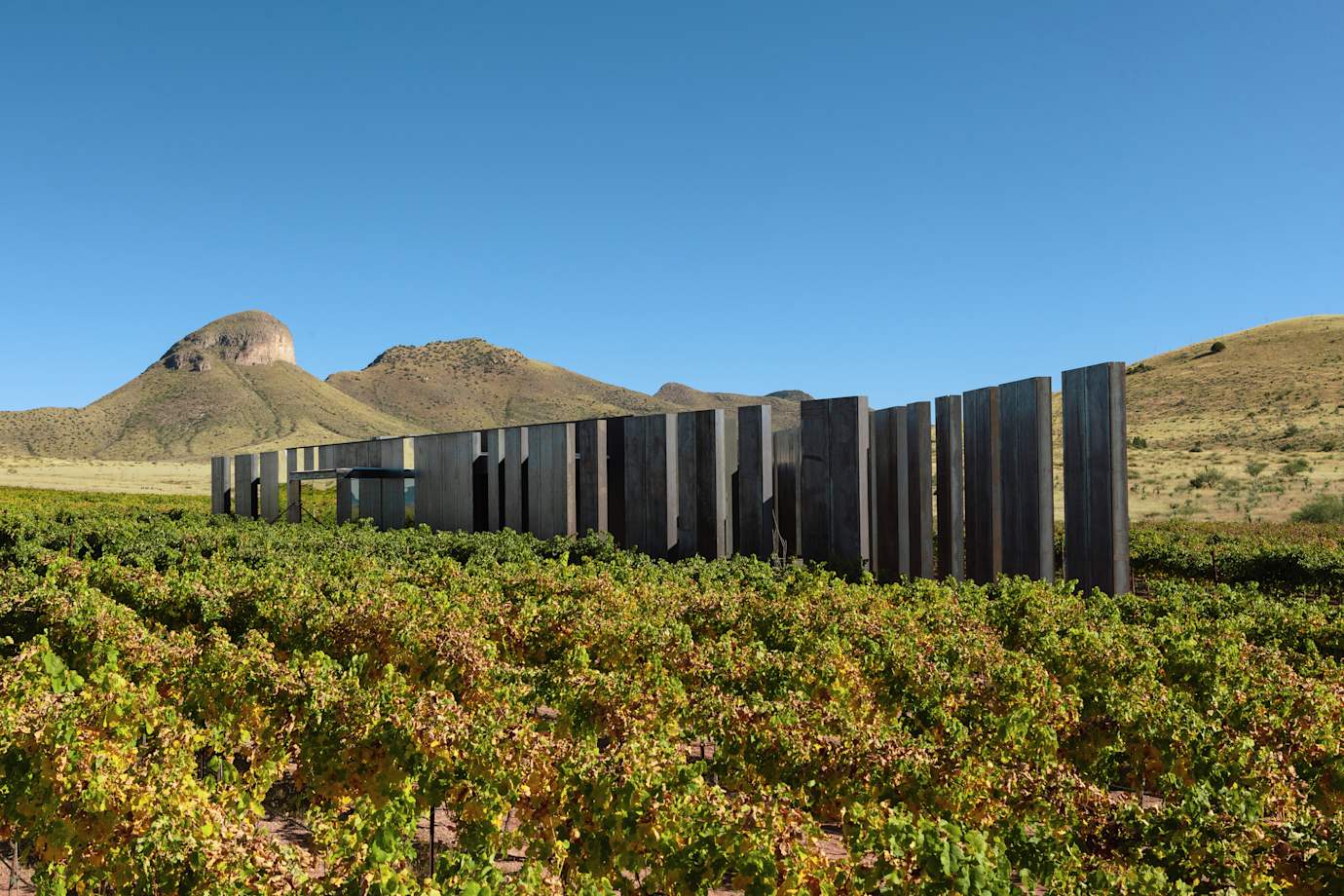Modern exterior of the Los Milics Vineyard tasting room in Sonoita, Arizona.