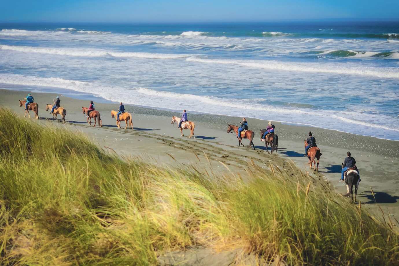 Crescent Trail Rides takes horseback riders onto the beach at Tolowa Dunes State Park in Northern California.
