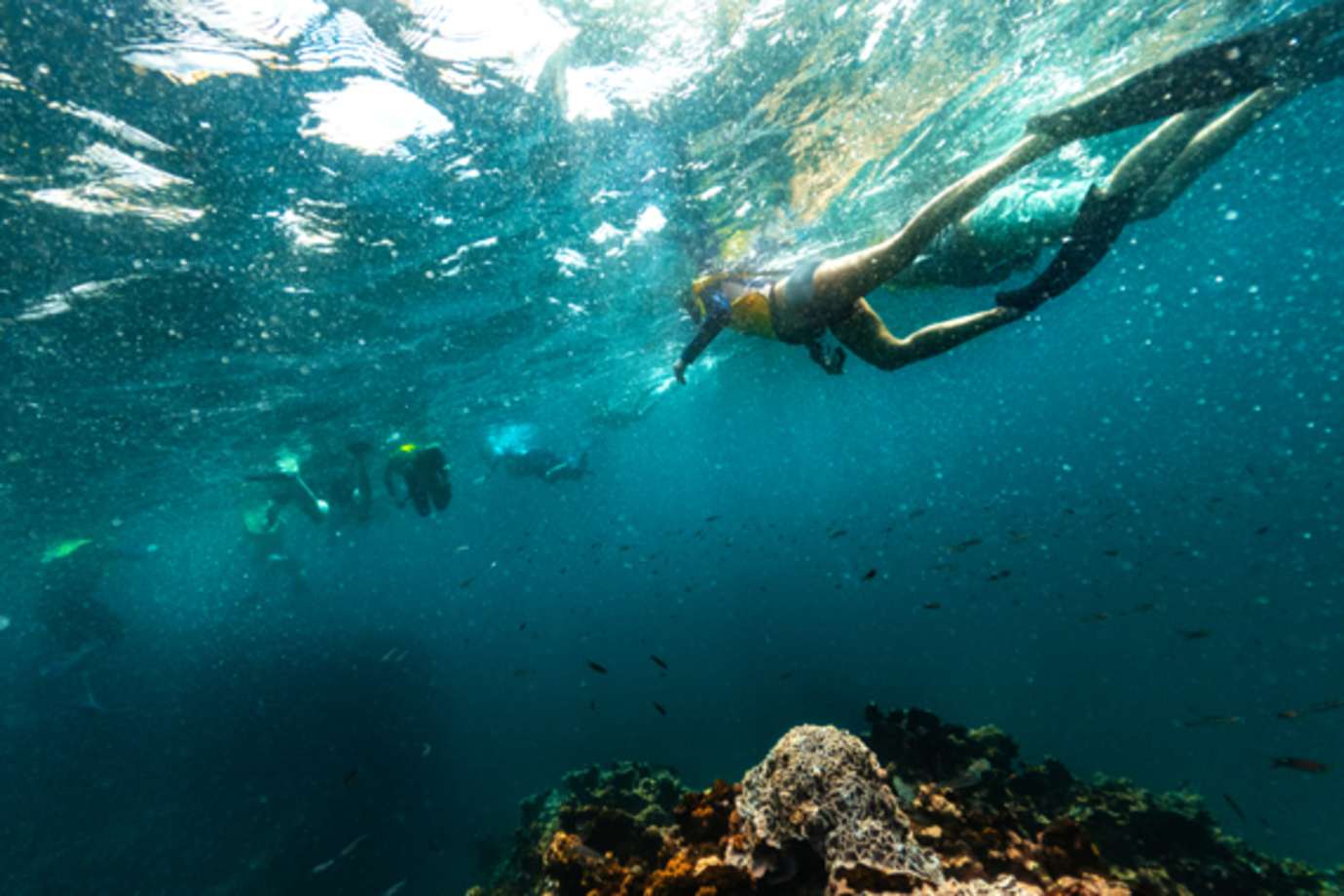 people on adventures by disney vacation snorkeling in the galapagos