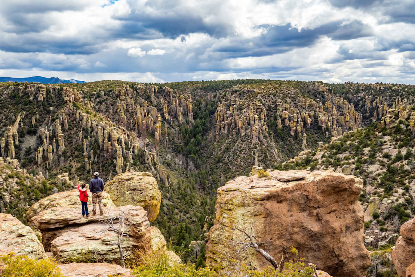 Hoodoos in Chiricahua National Monument in Arizona.