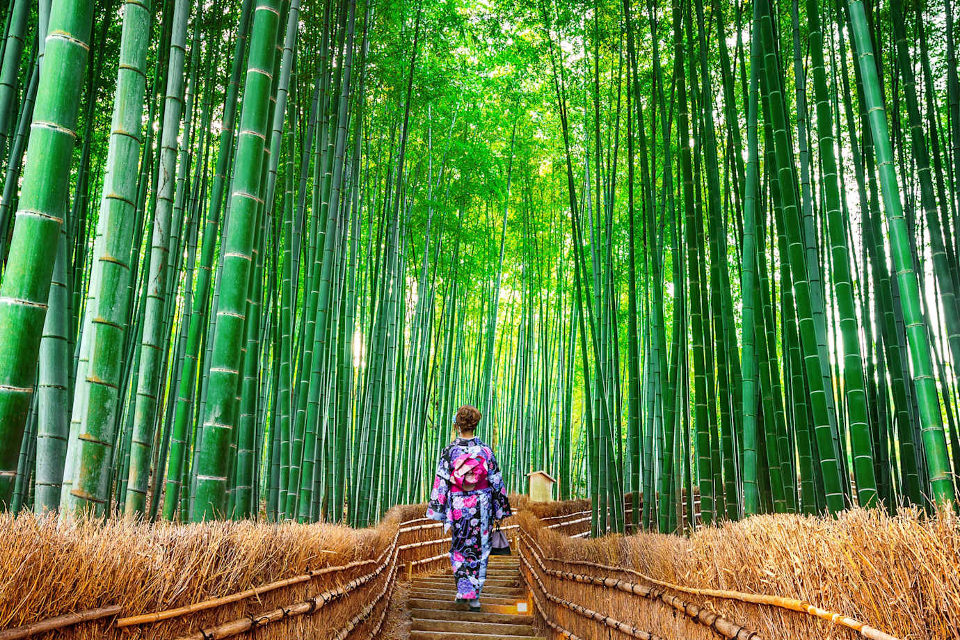 bamboo