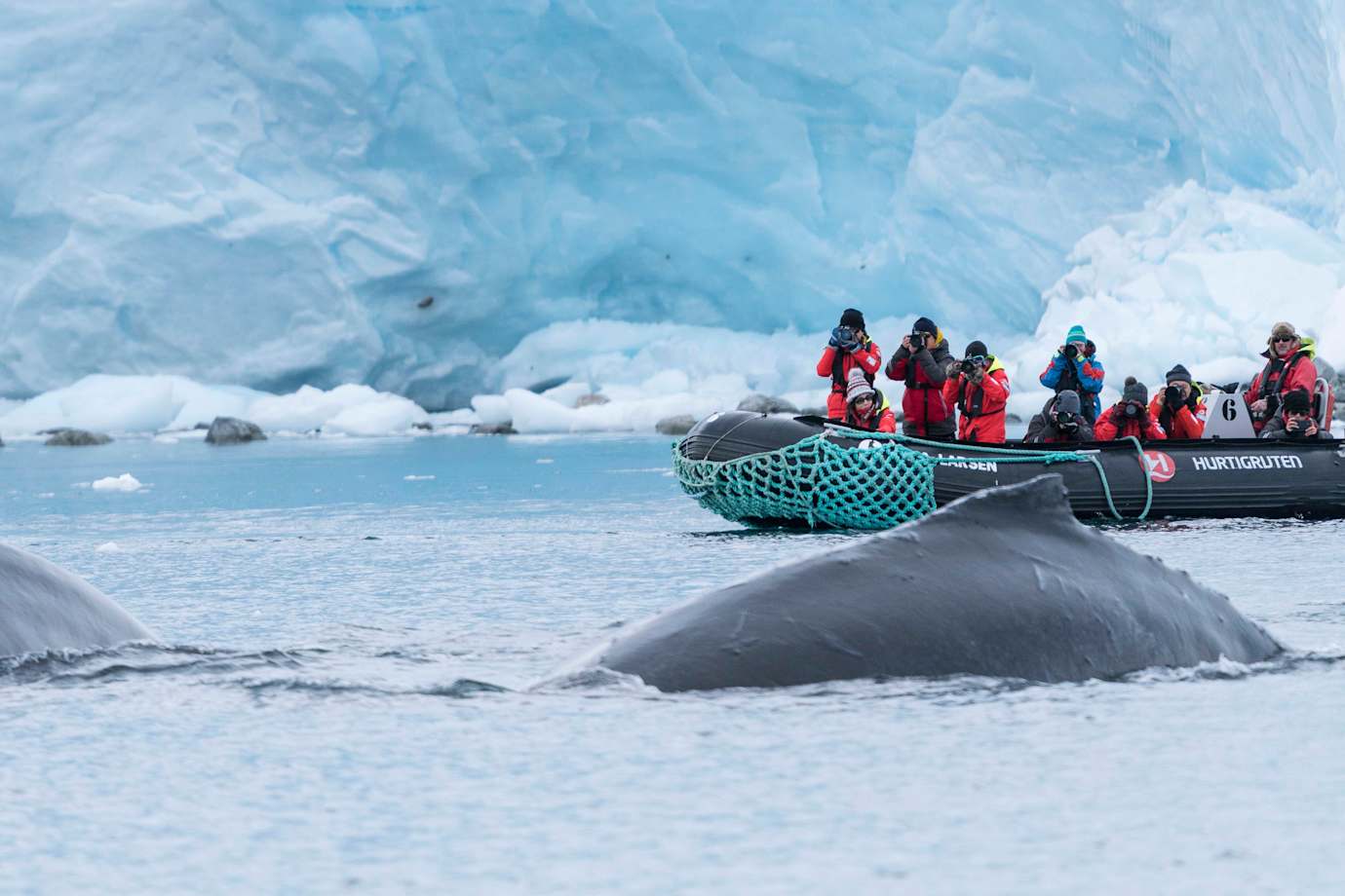 HX guests on a whale watching expedition in antarctica