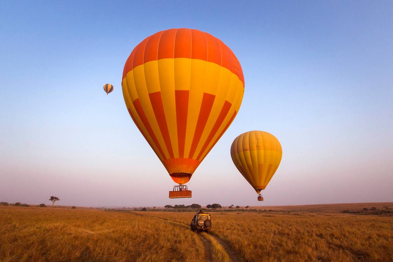 visit africa with alexander roberts