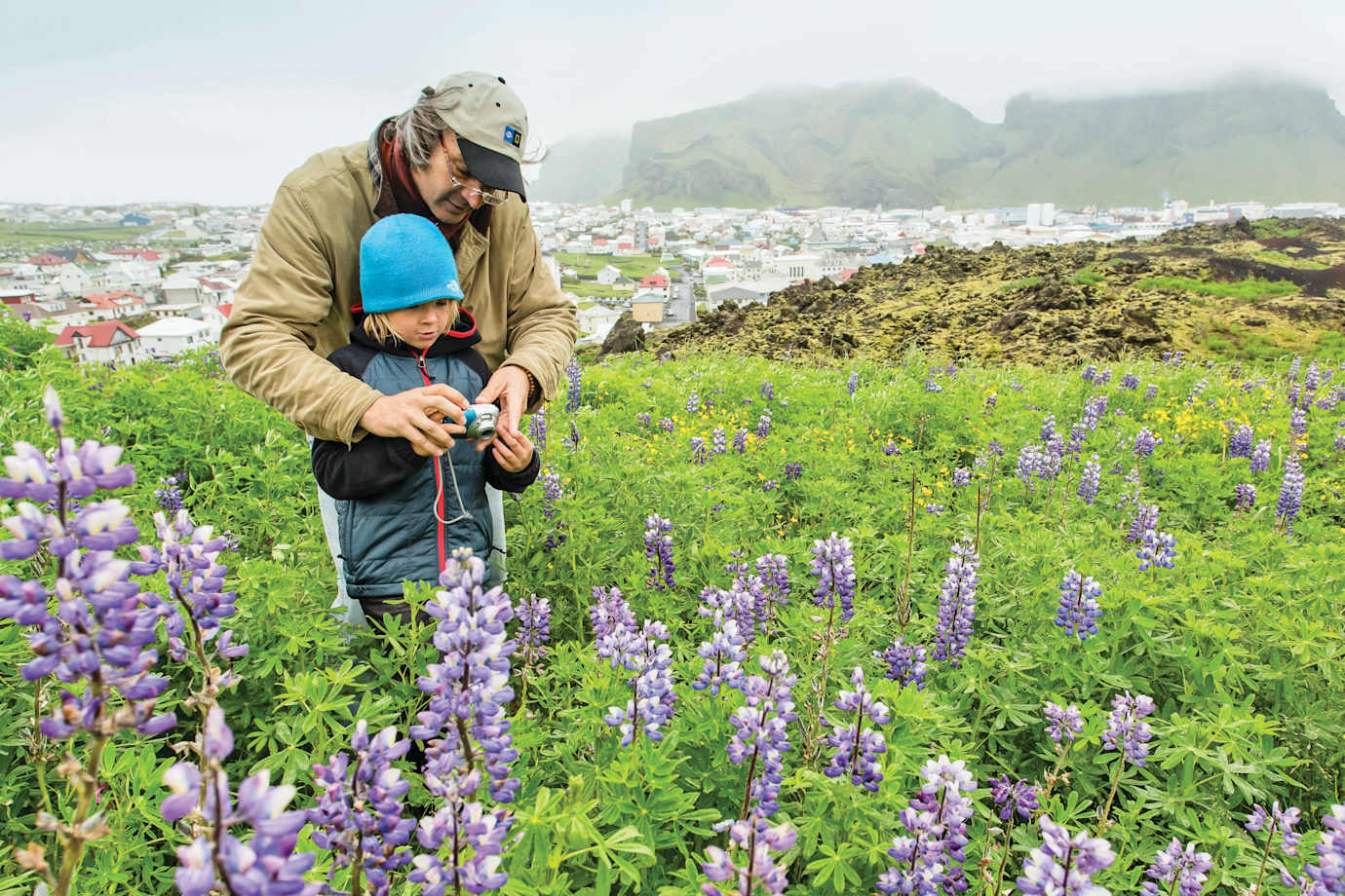 man and child taking picture of flowers in iceland