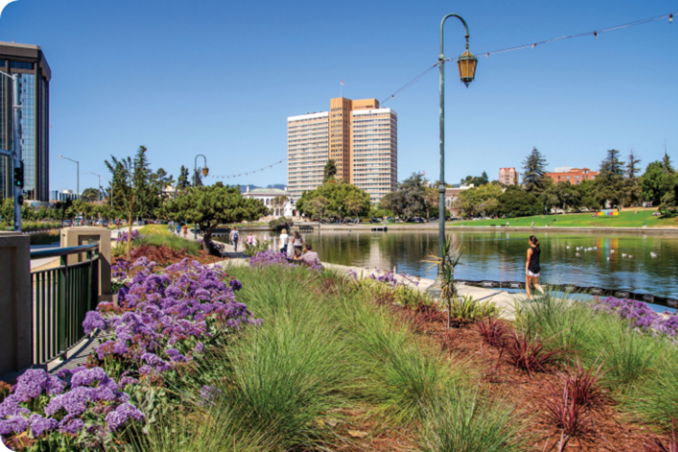 Flowers line the trail along Oakland California's Lake Merritt