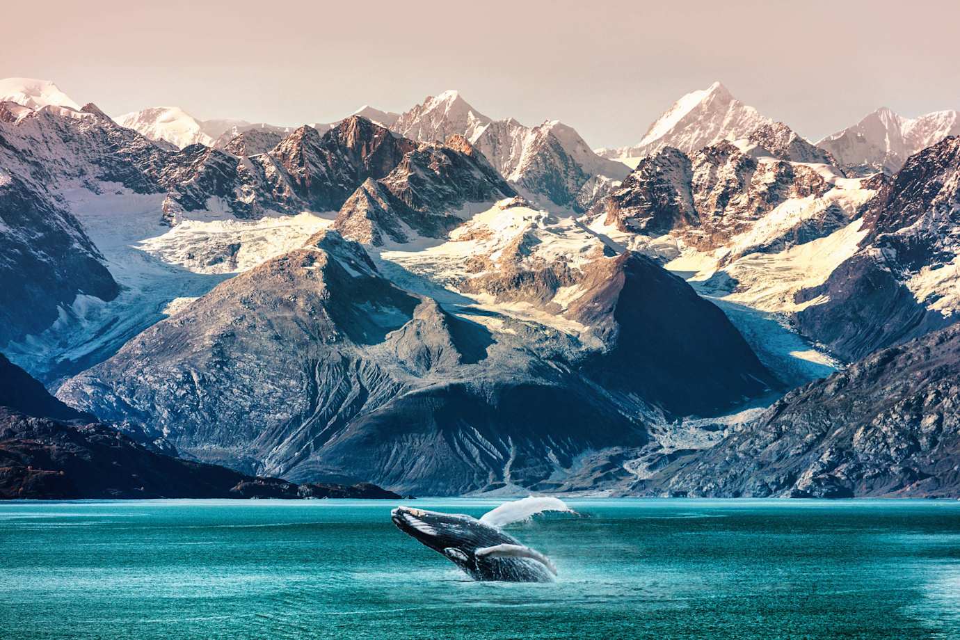 whale watching in alaska