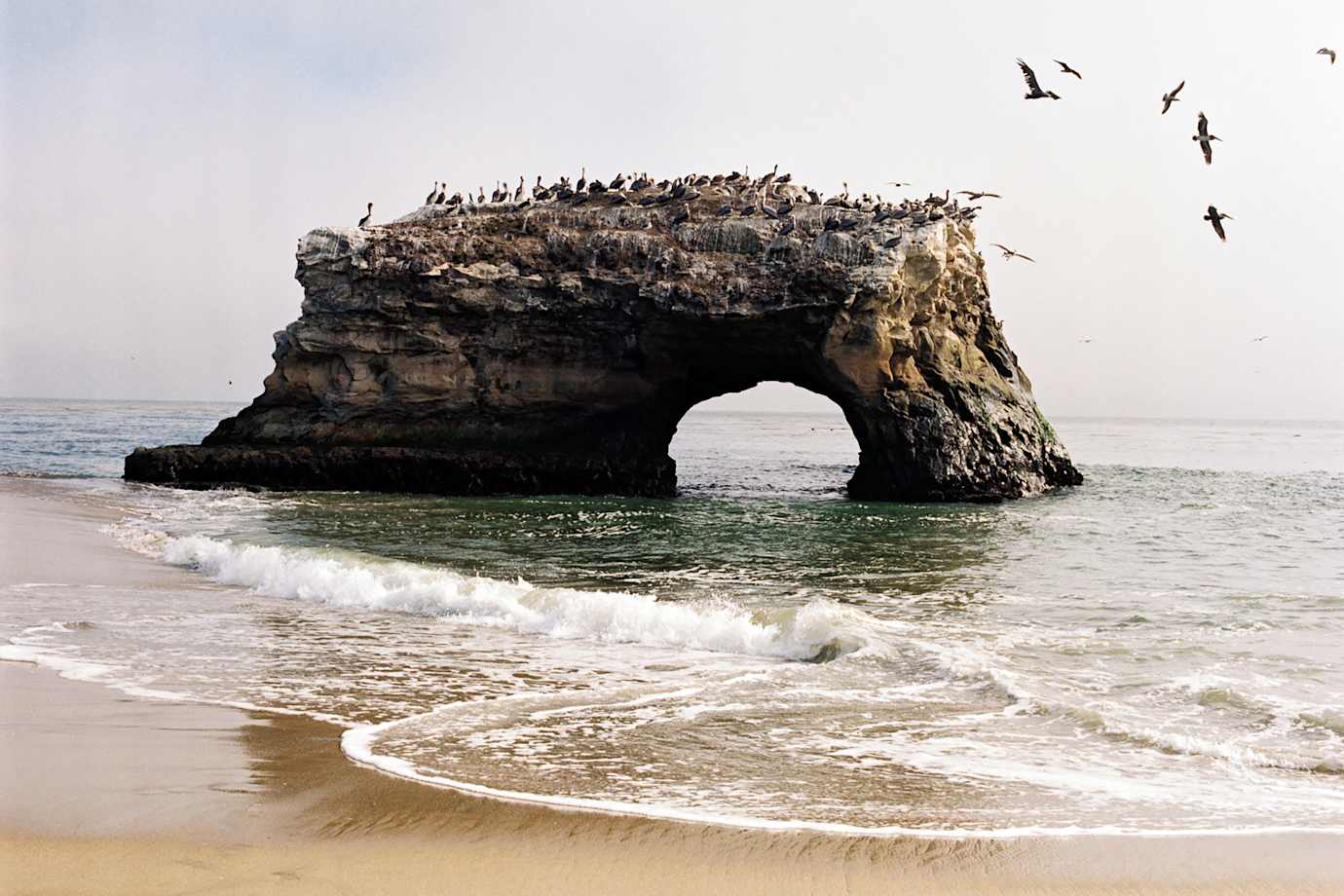 Birds congregate on an arch-shaped rock in the ocean