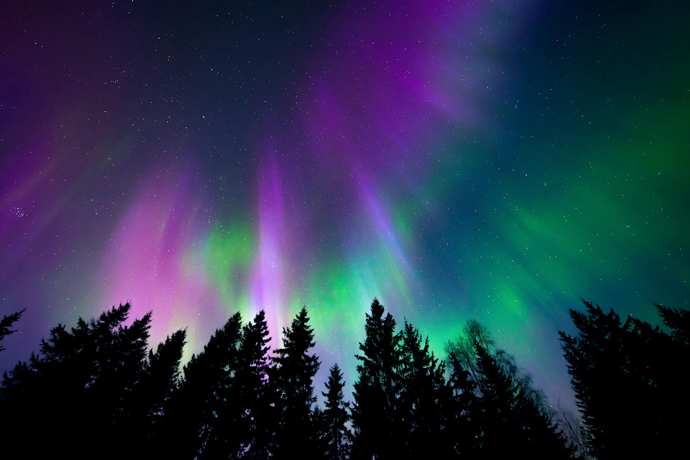 northern lights in norway