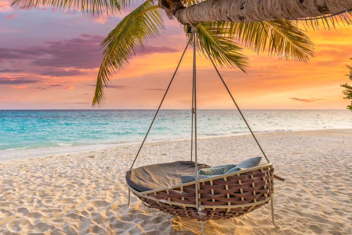 beach scene with hammock
