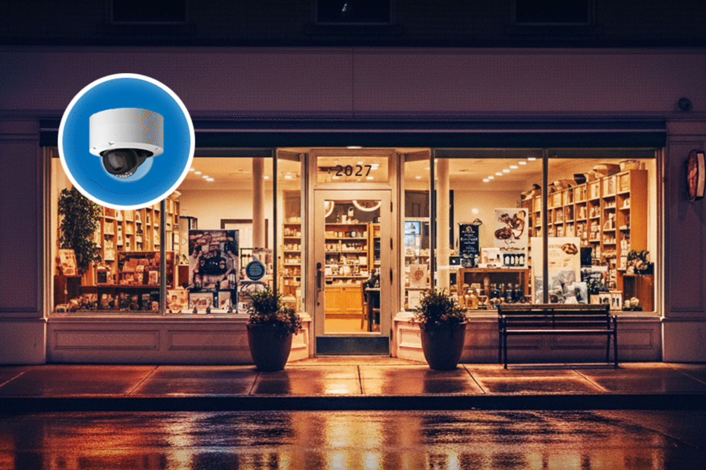 business with security products