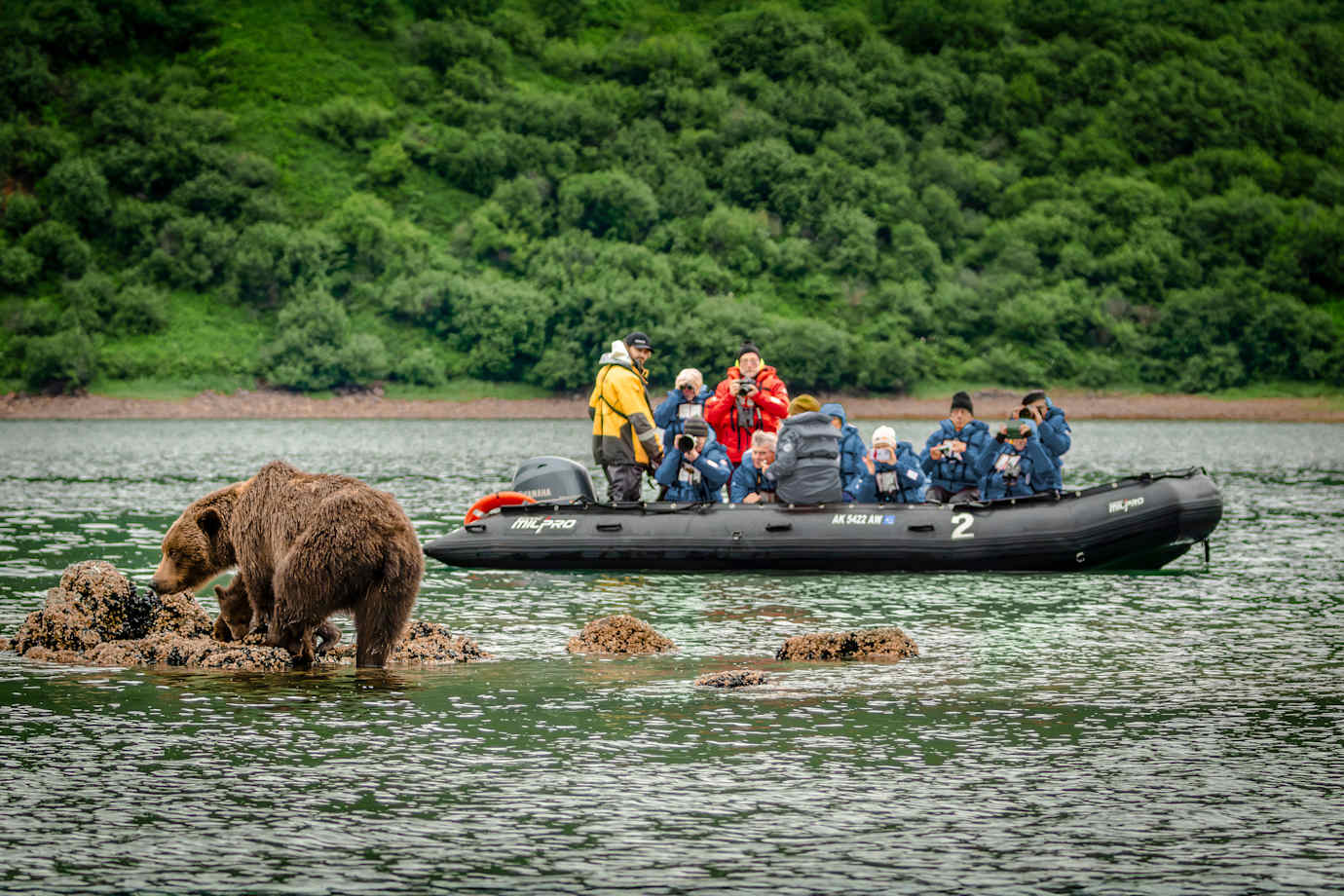 guests spot a bear on expedition on hx cruise in alaska