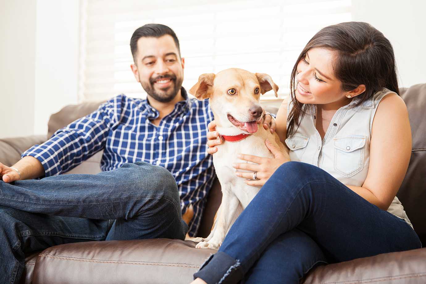 man and woman sitting on couch with dog