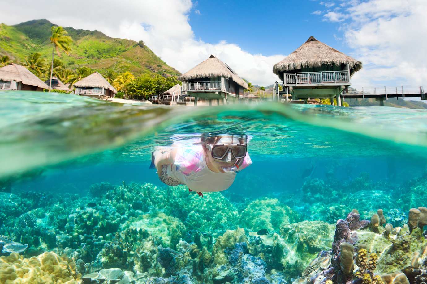snorkeling in the south pacific