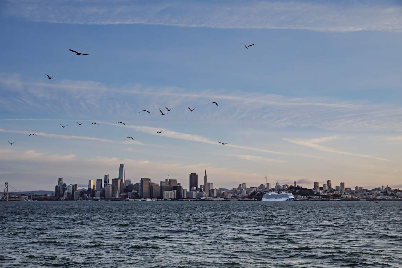 cruise ship in san francisco