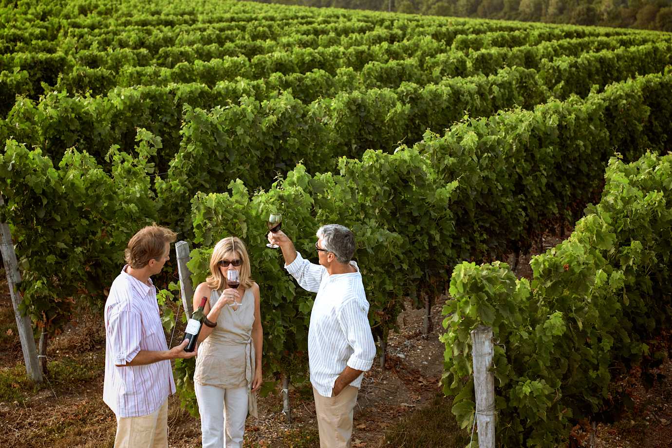 vineyard tasting on an amawaterways river cruise