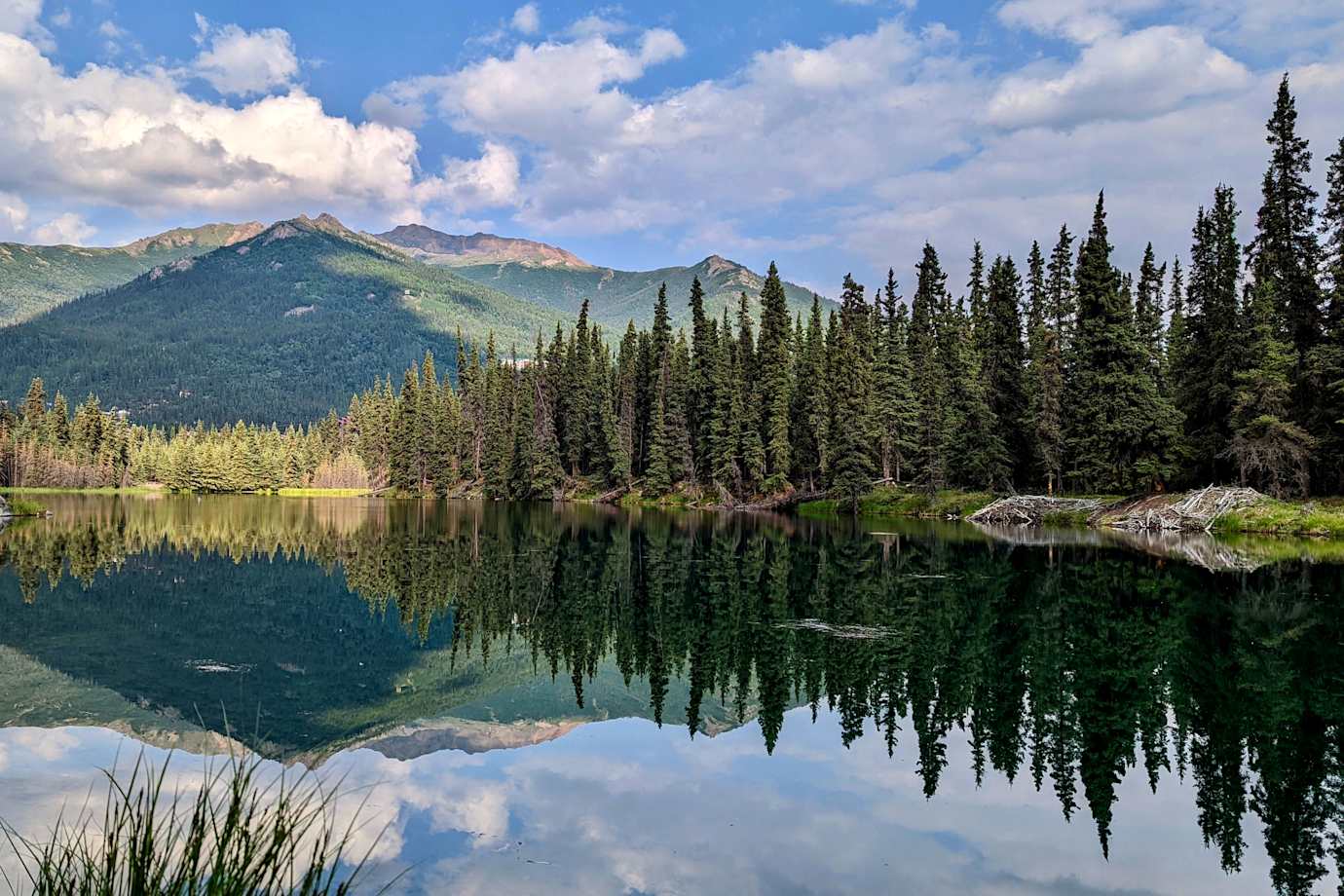 Horseshoe Lake Trail overlooking the mountain, Denali, Alaska.