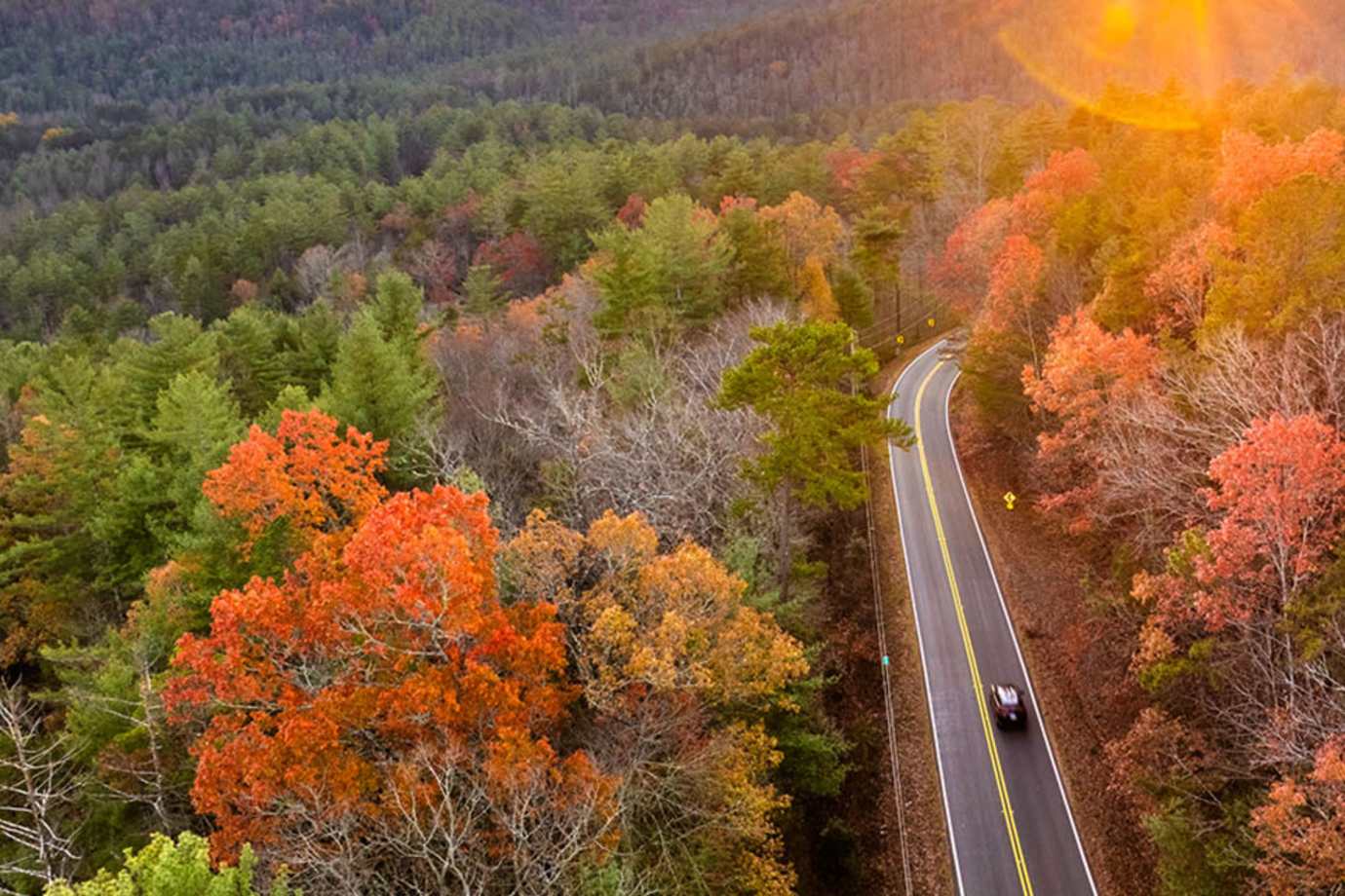 car driving on scenic road lined with autumn trees