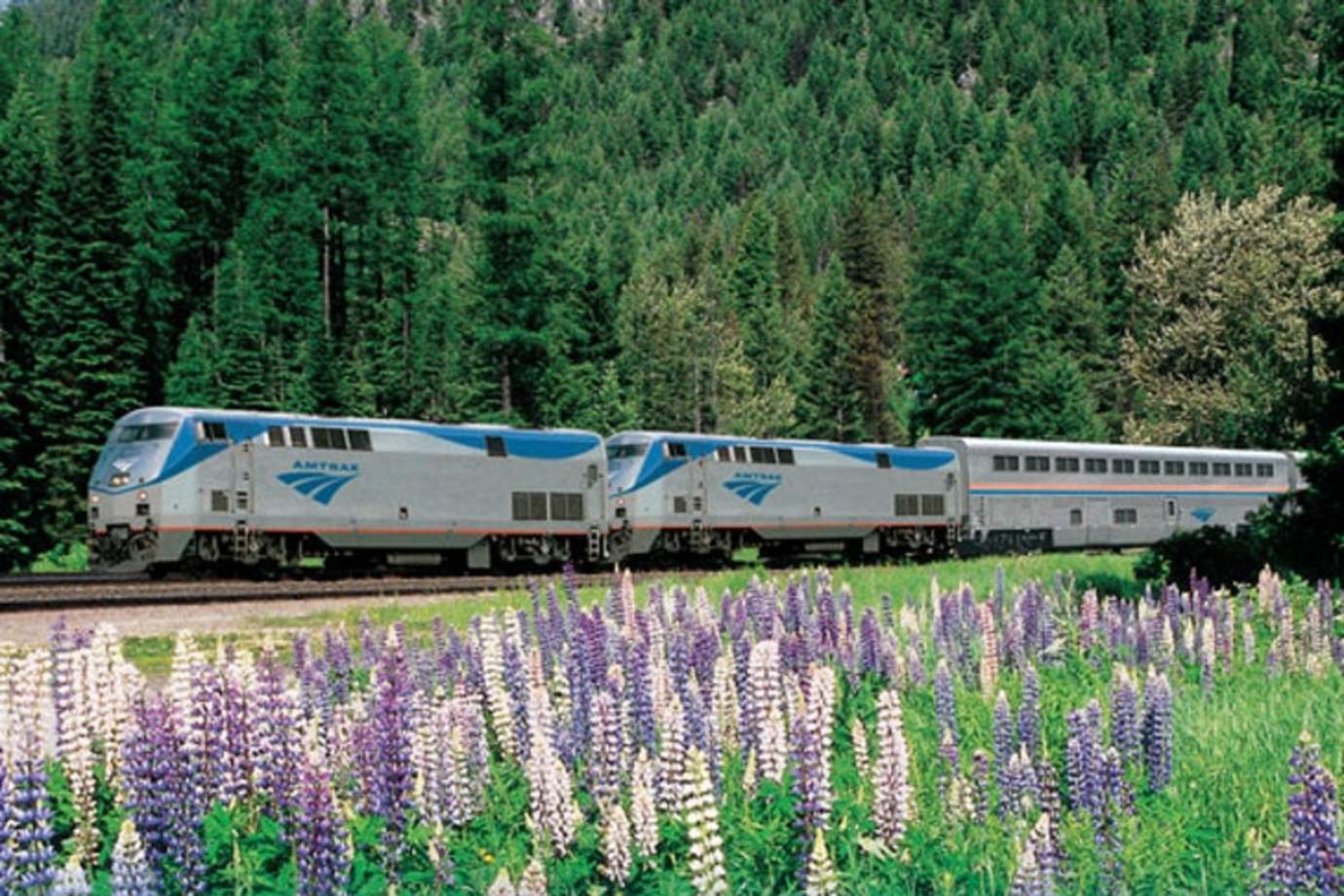 amtrak train in field